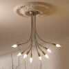 R18 Arstyl Ceiling Rose Room Shot
